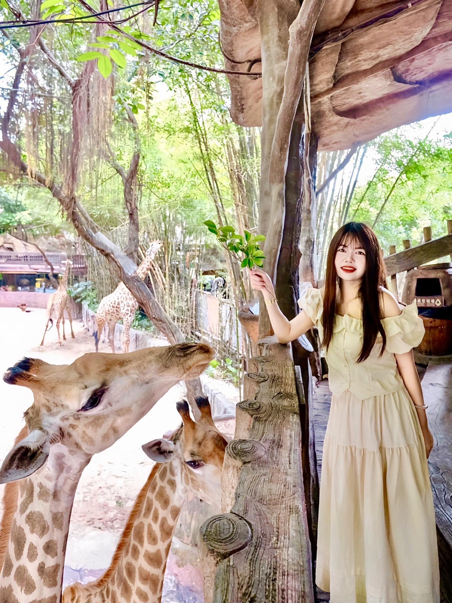 长鹿周年庆99两大两小是真的，我先囤了再说，暑假带家里神兽去玩！！部分日期需加价