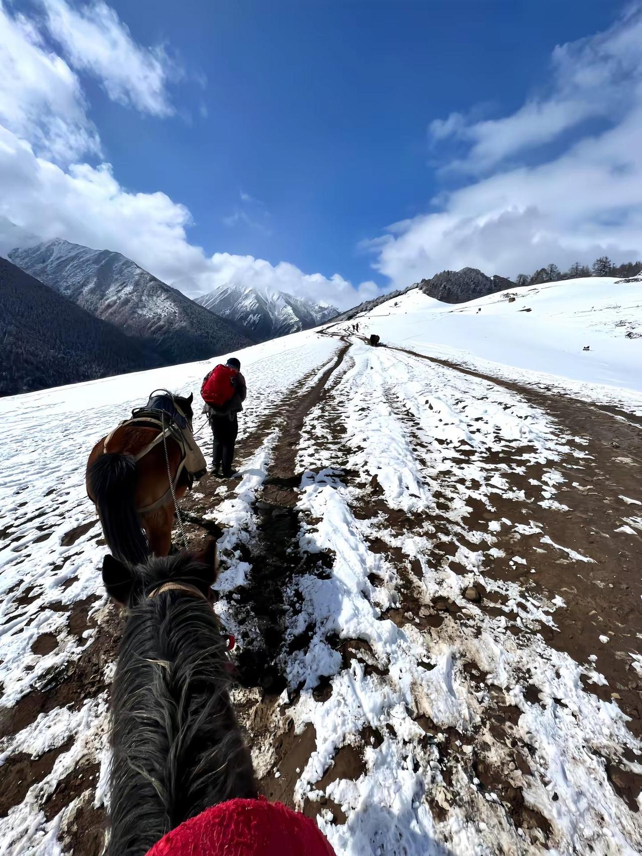 你教他不自卑 结果他自信的甩了你.