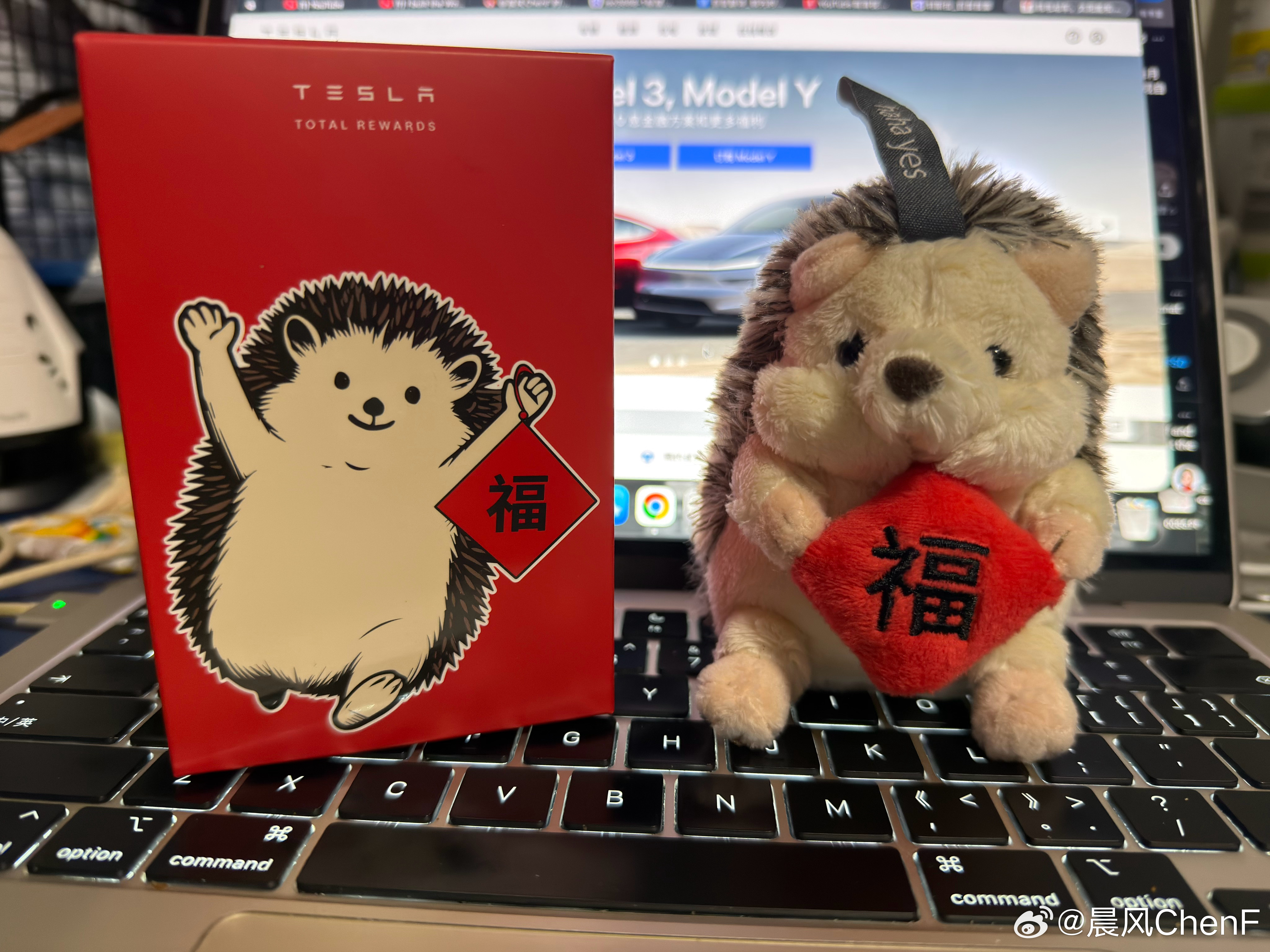 下周抽奖礼品预告抽这个特斯拉订单页面的梗，OK不谁知道为啥特斯拉订单页面是这个小