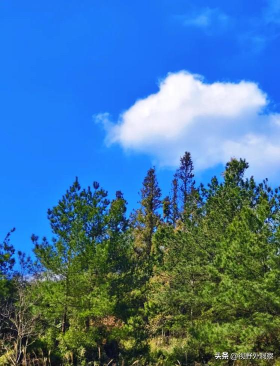 胡塞武装的牛，没人吹了。
以美打伊朗，美国的军舰近在咫尺，飞机、炮弹时刻在天上飞