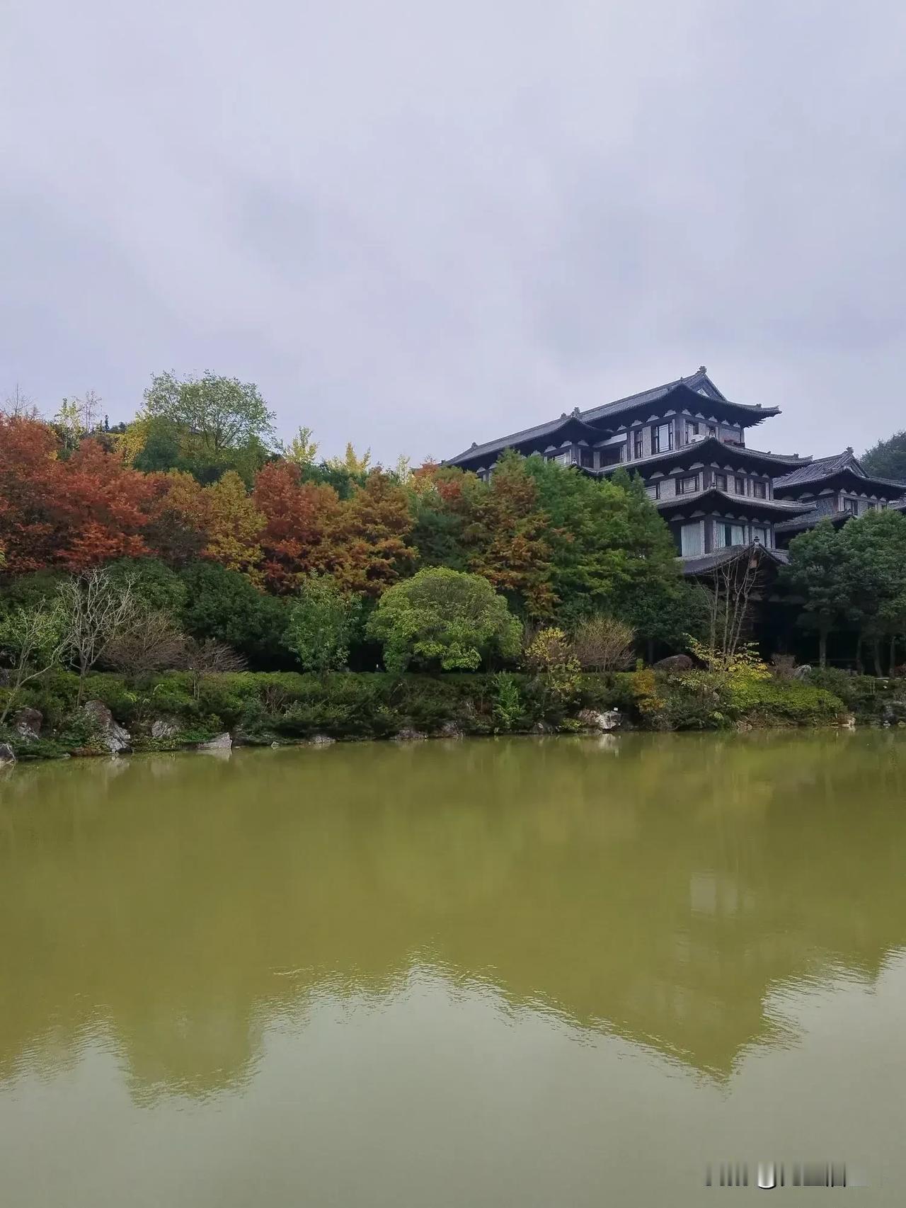 胃癌后生活日常
自从患上癌症后，有的朋友隔三差五的经常慰问，这不，盆友除了慰问，