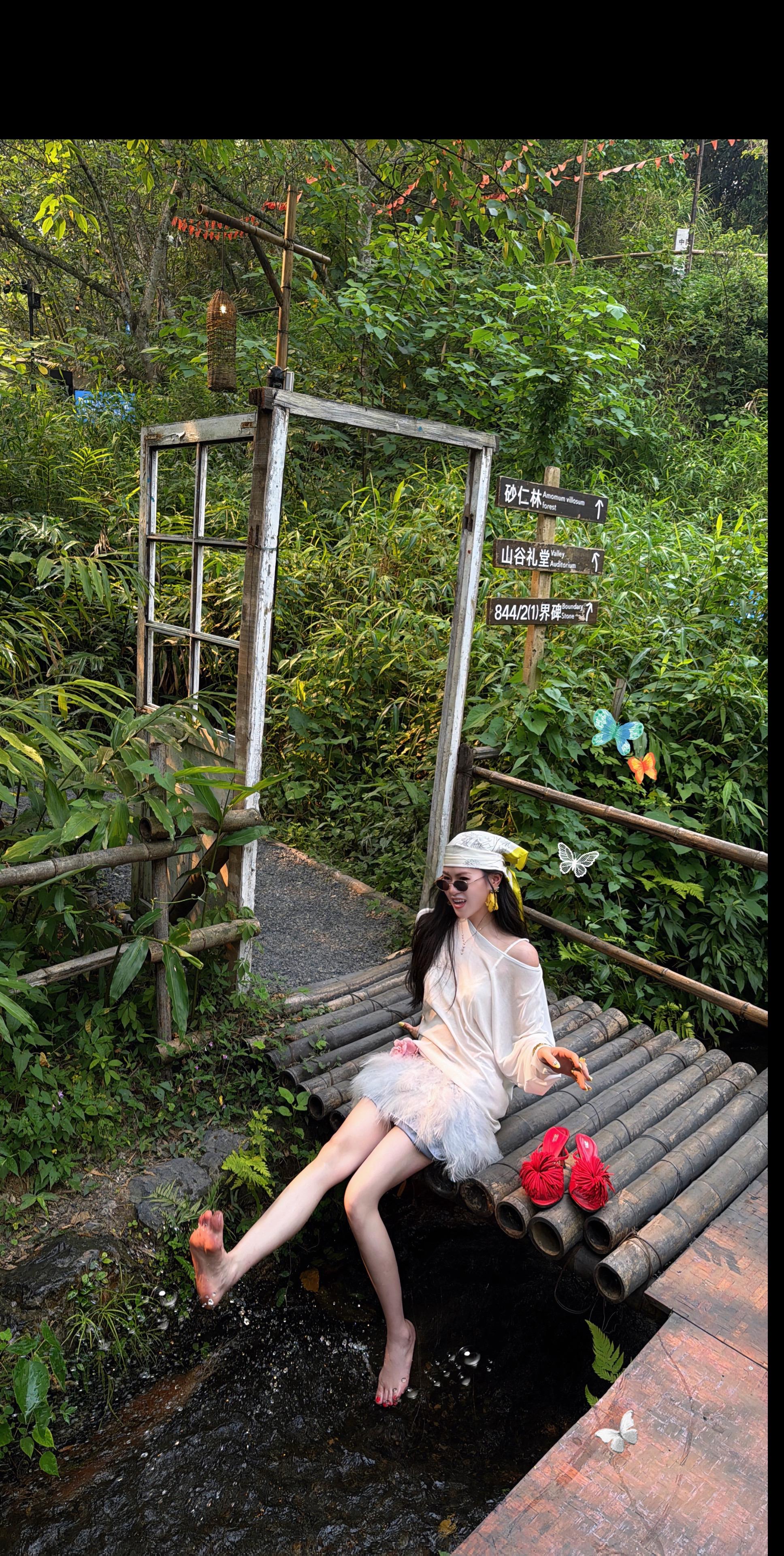 中越边境的秘境之旅🧚‍♀️🦒🌴🥒