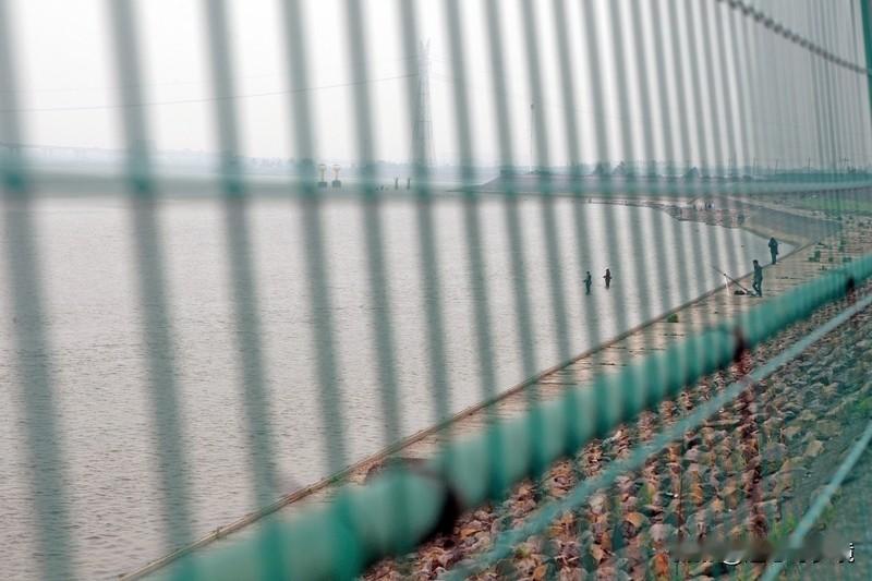 大二女生回家途中失踪8年 大二女生回家途中失踪8年，这事儿想想就揪心。8年时间，