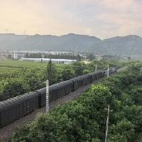 可能是昨天麻将打多了，白天晚上连轴转，以至于一晚上做梦都是打麻将，甚至刚刚醒也是
