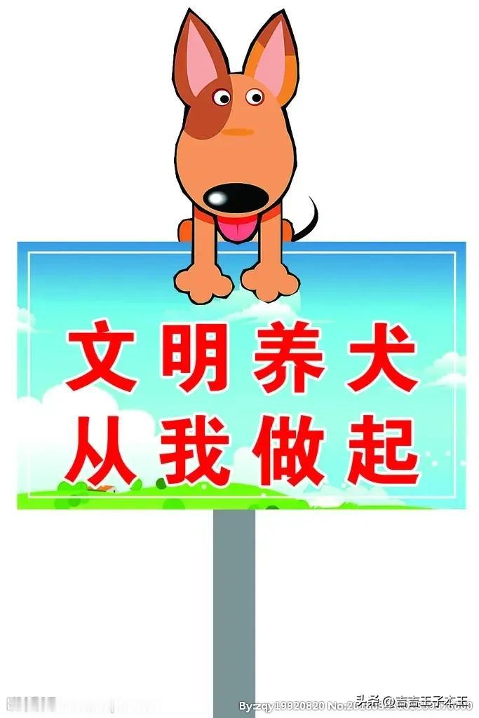 打到网络喷子，战胜附件垃圾！#棒打网络喷子#