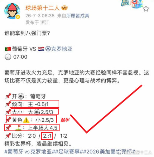 世界杯三十二强淘汰赛瑞士￼迎战阿尔及利亚的比赛在温哥华BC广场体育场进行，上半场