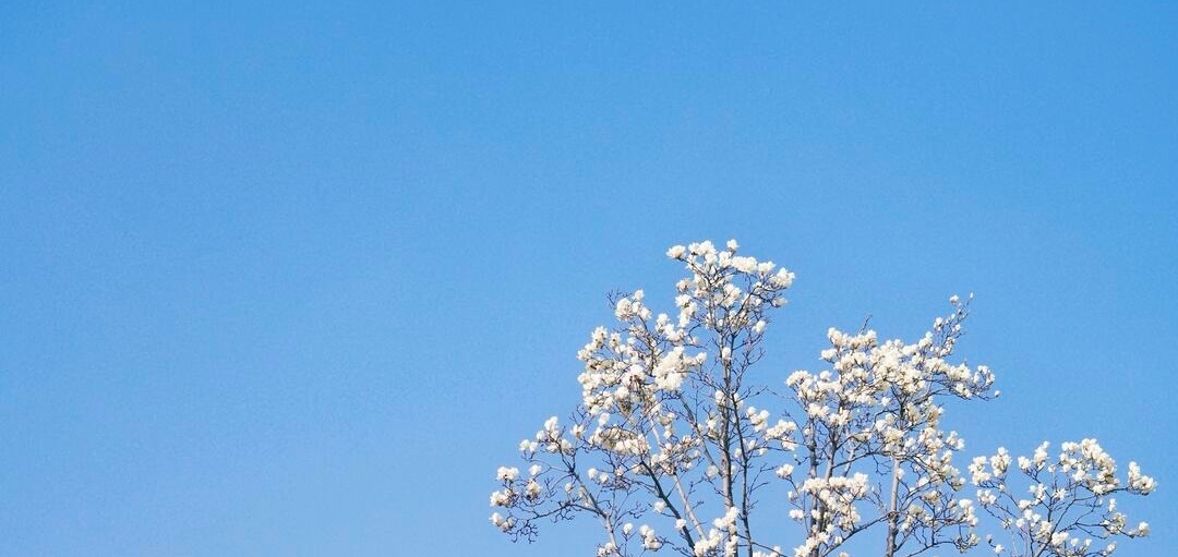5月18日，神经新境报道称，脑机接口创新企业脑思科技宣布完成超千万美元天使轮系列