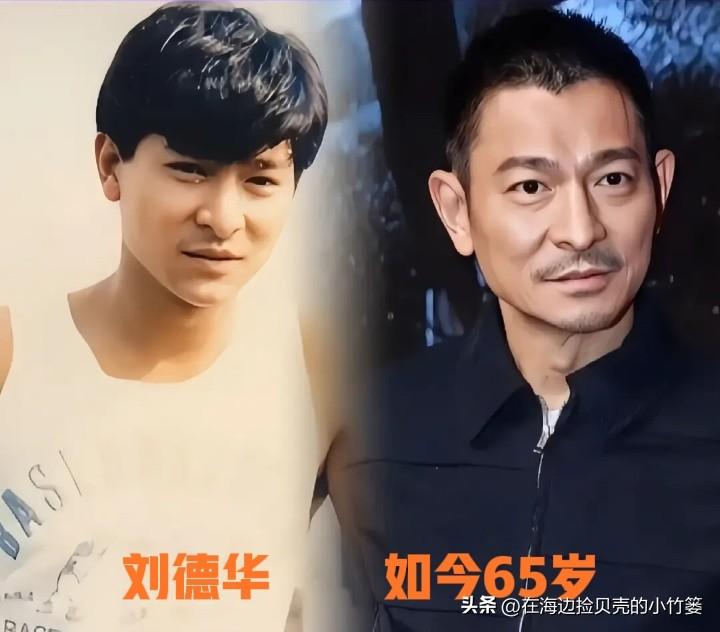 曾经风靡全国的香港男神，看看变化有多大
刘德华、古天乐、甄子丹、陈小春、赵文卓、