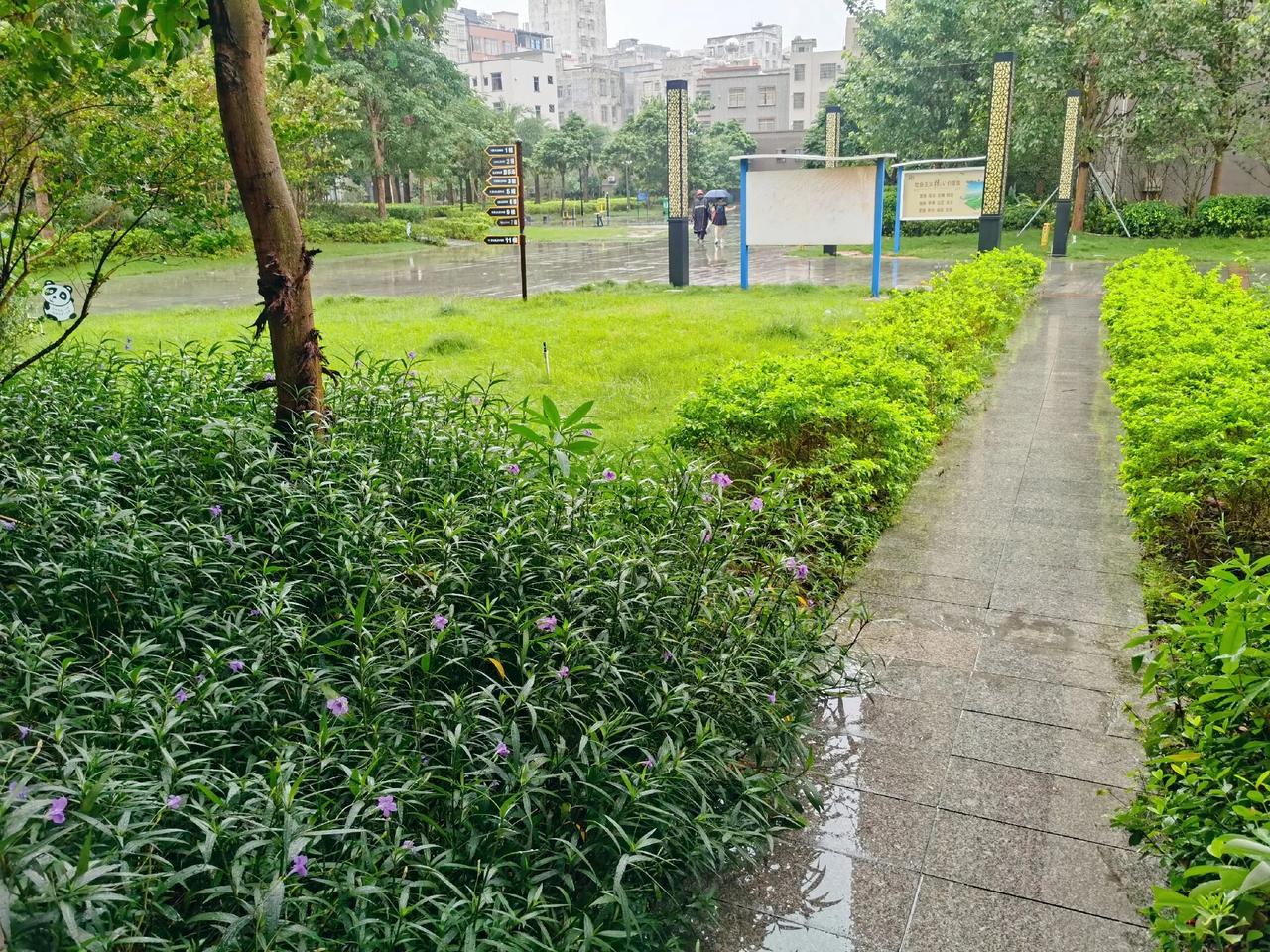 #秋日生活碎片打卡# 今日事，今日毕，情绪也是一样，要学会及时将每天的情绪压力释