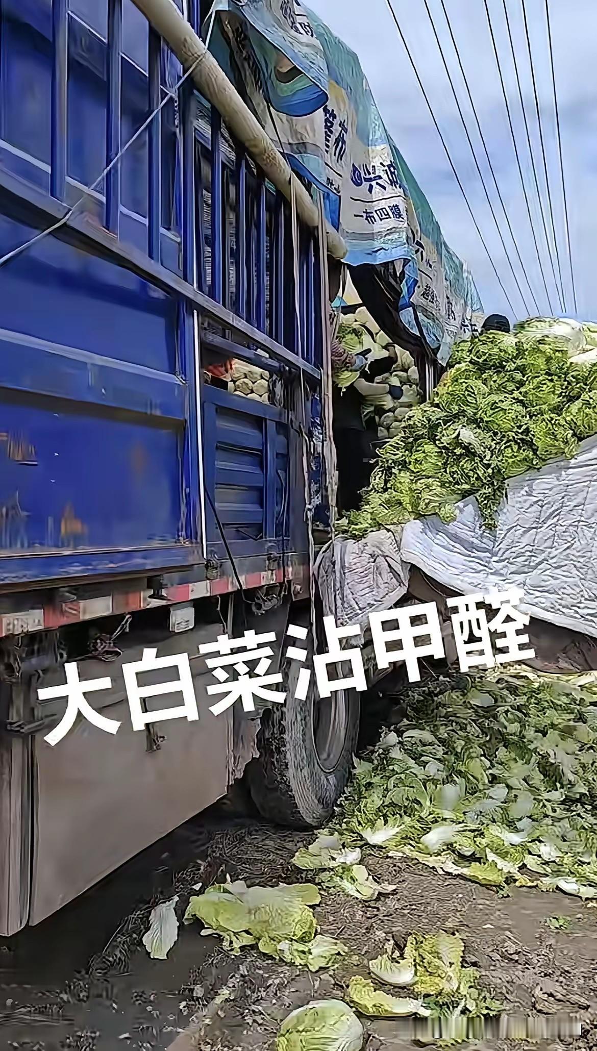 自媒体博主又一次充当了农产品安全的“吹哨人”！

8月22日，自媒体博主“渔猎齐
