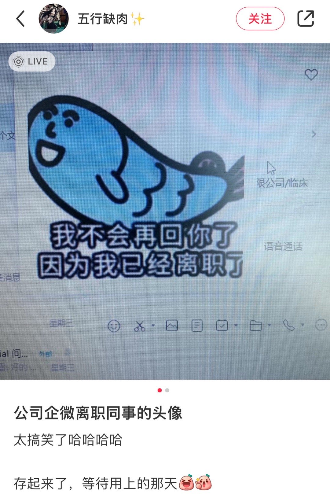 离职同事的头像哈哈哈哈哈哈 离职的时候用起来 ​ ​​​