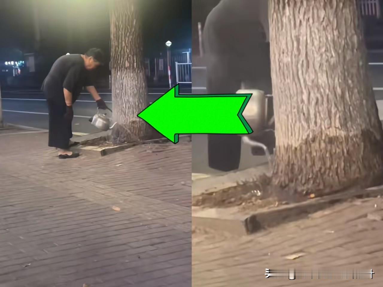 开水浇树，什么情况？
老太太连续十四天用开水浇一棵银杏树，起初邻居以为她是在做好