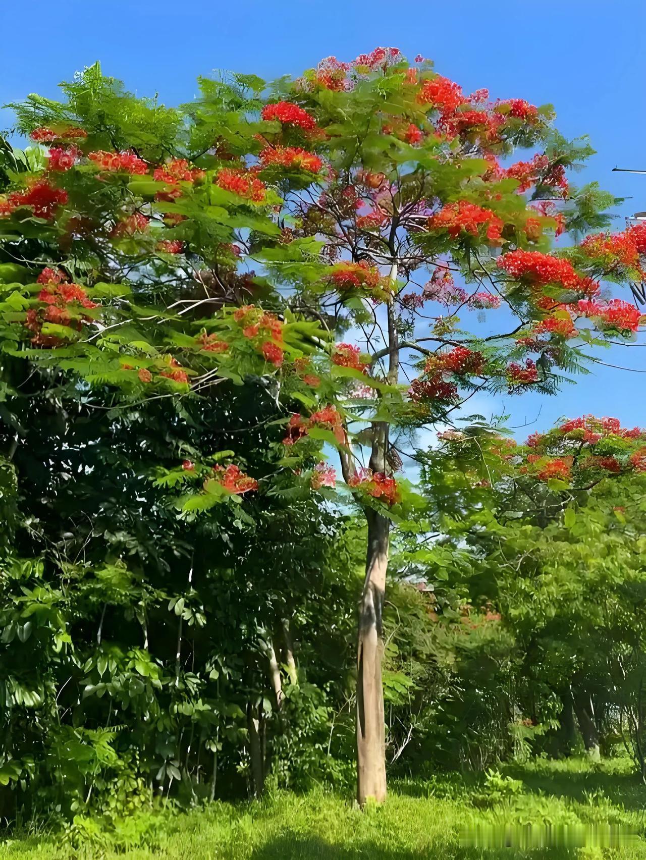 观音山上观山水，新联:观音观上观观水[捂脸][笑哭][笑哭]
