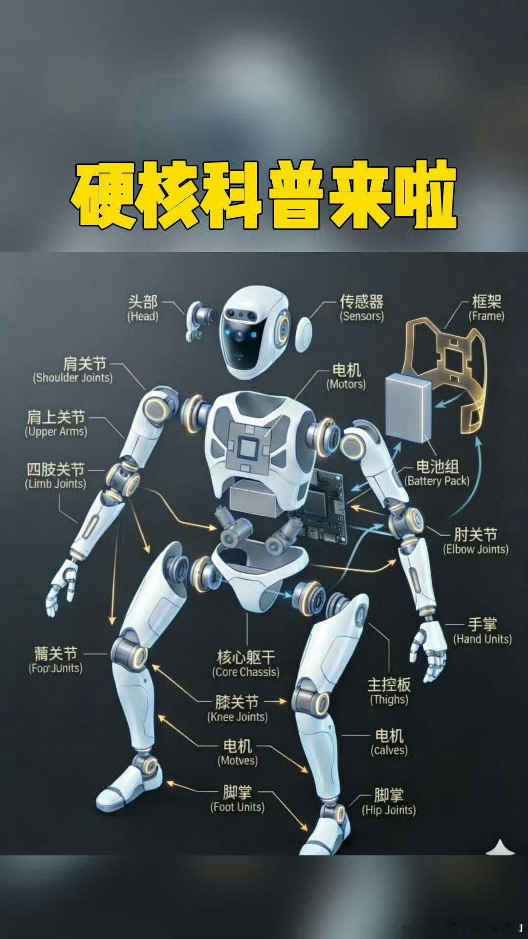 具身智能最强大脑在中国不得不说咱中国真的太牛了！具身智能硬核实力拉满，自研大脑领