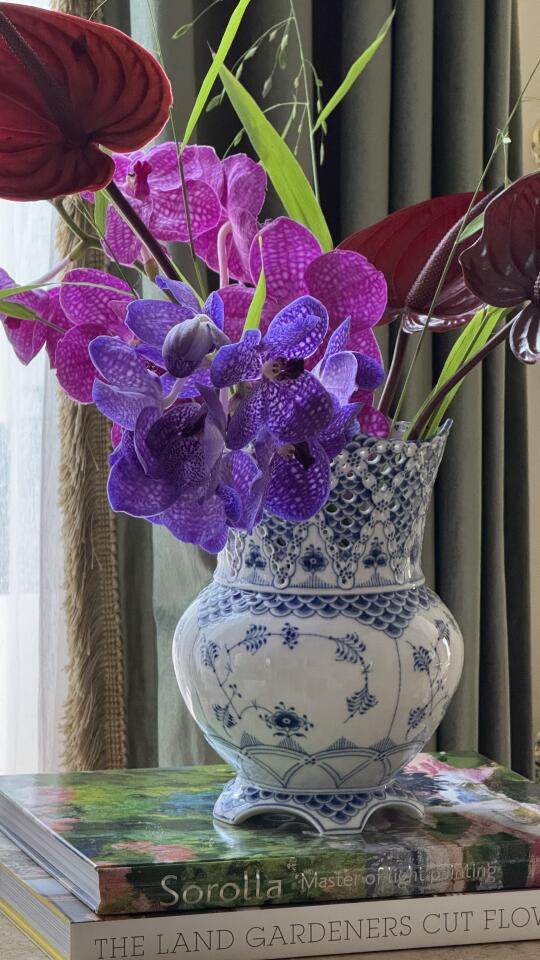 💜💙在家玩💙💜