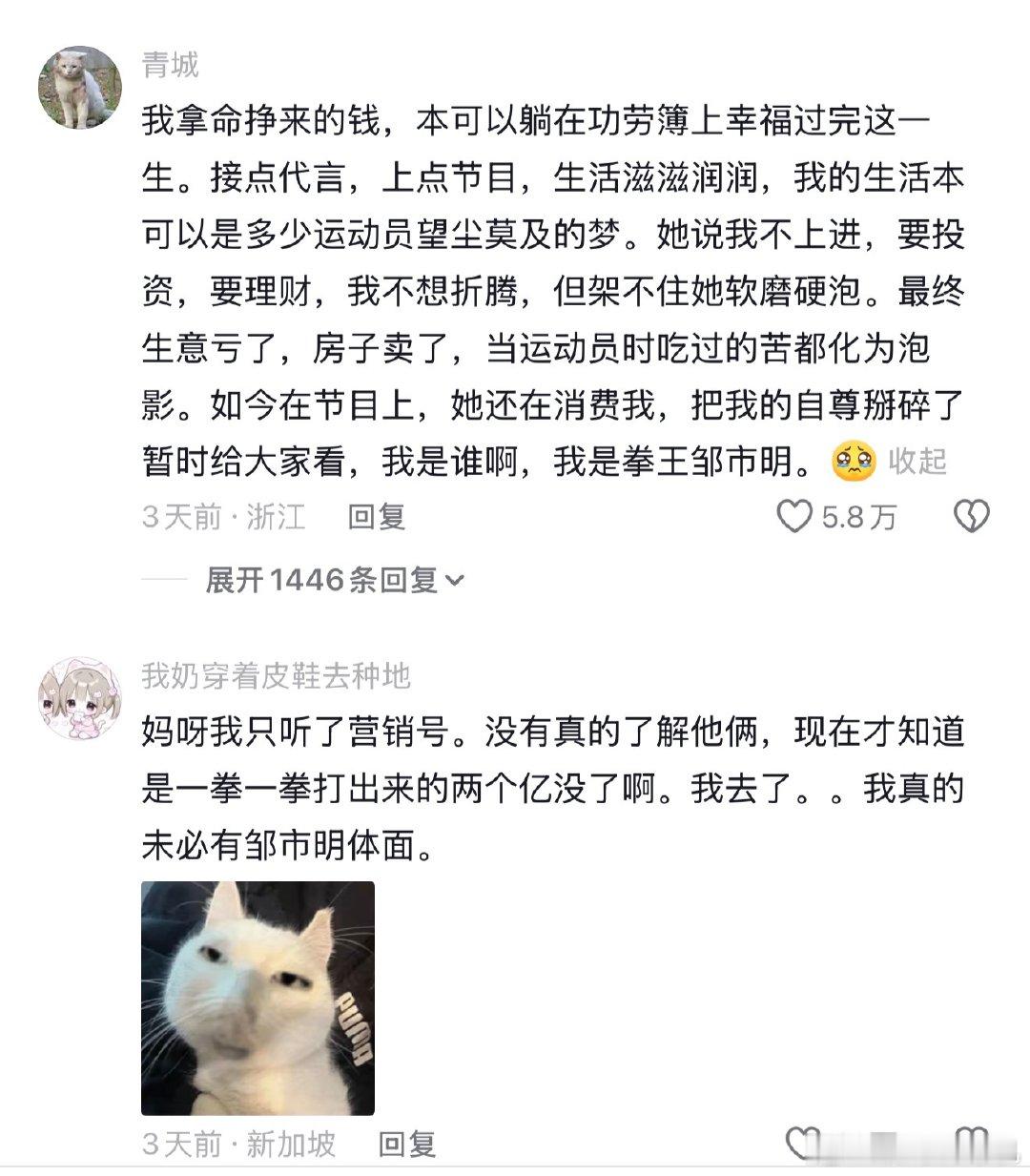 冉莹颖口碑冉莹颖下沉口碑冉莹颖下沉口碑，咋回事邹市明冉莹颖每月还近10万贷款