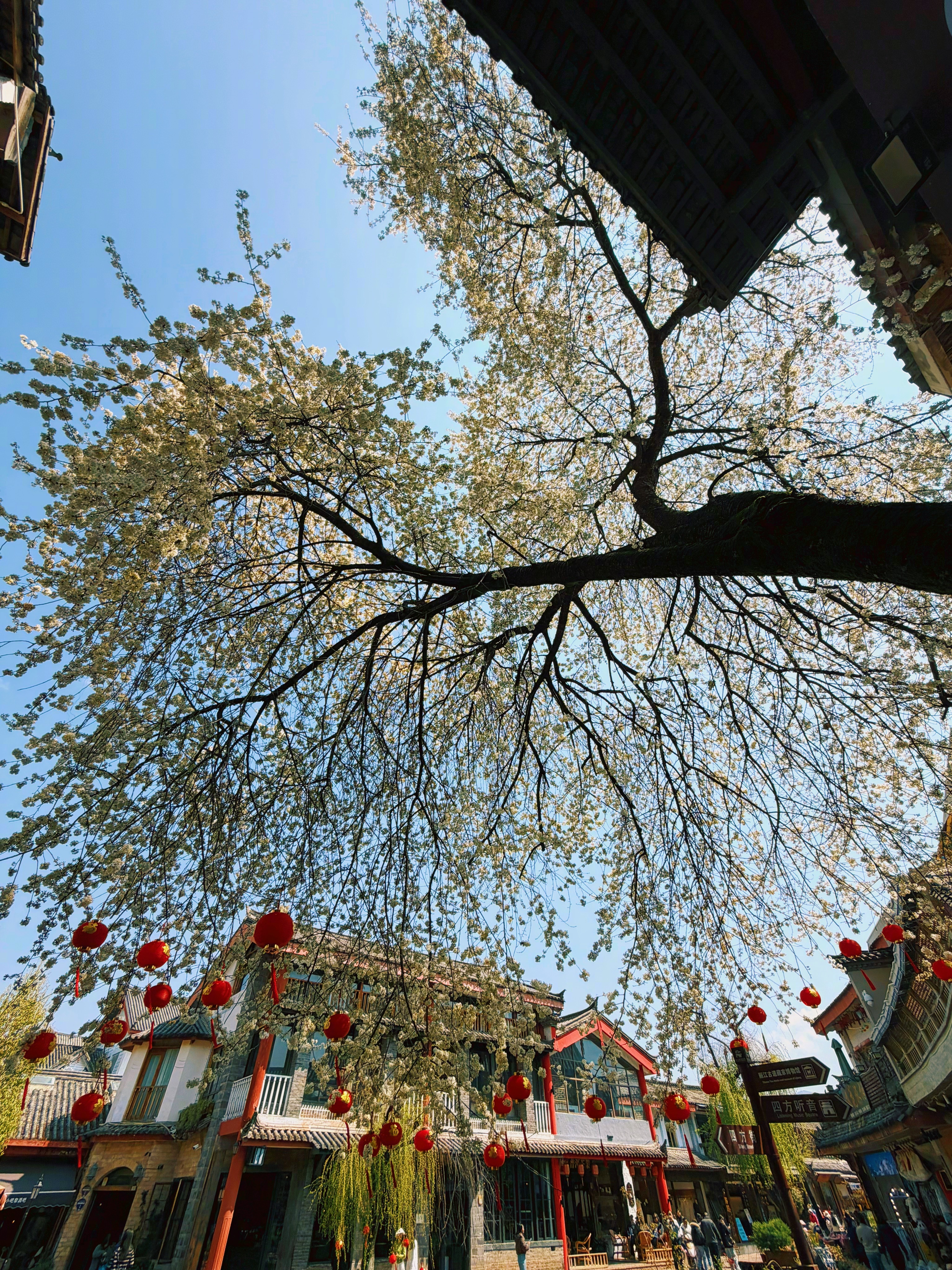 你内在是一种受害者的自我身份感；无可奈何者的自我身份感；努力奋斗者的自我身份感；