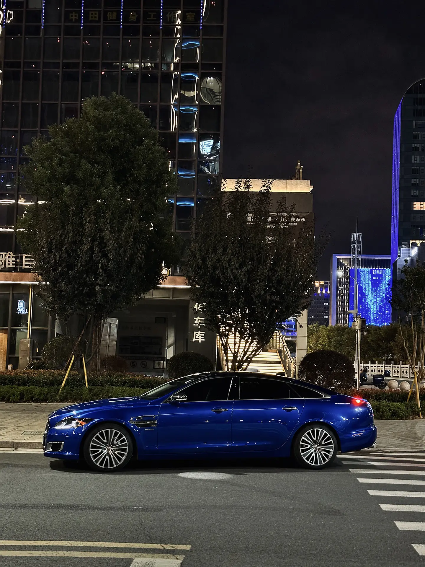 BlueJaguar ，Darkness.