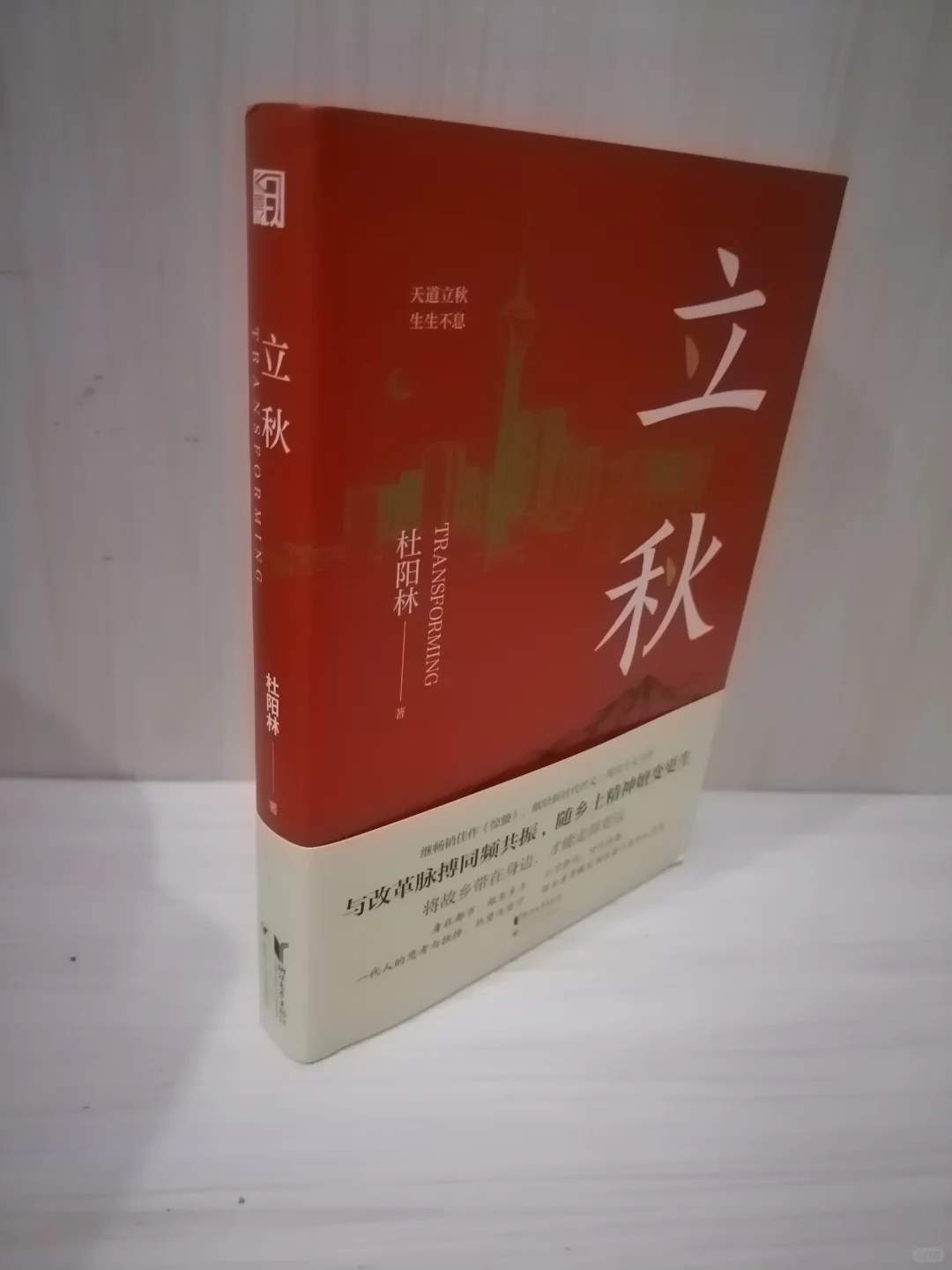 一部描绘时代变迁与个人奋斗的史诗