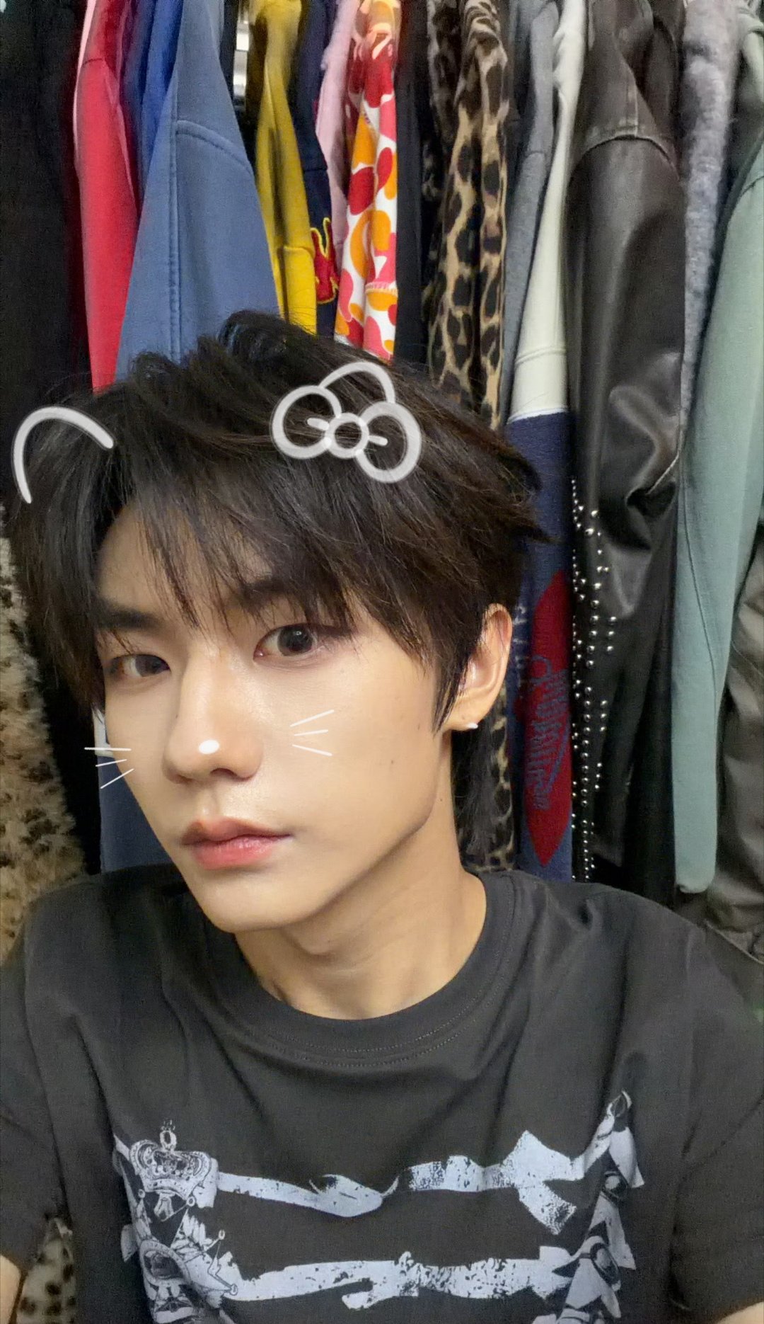 小猪？小猫？小狗？ 