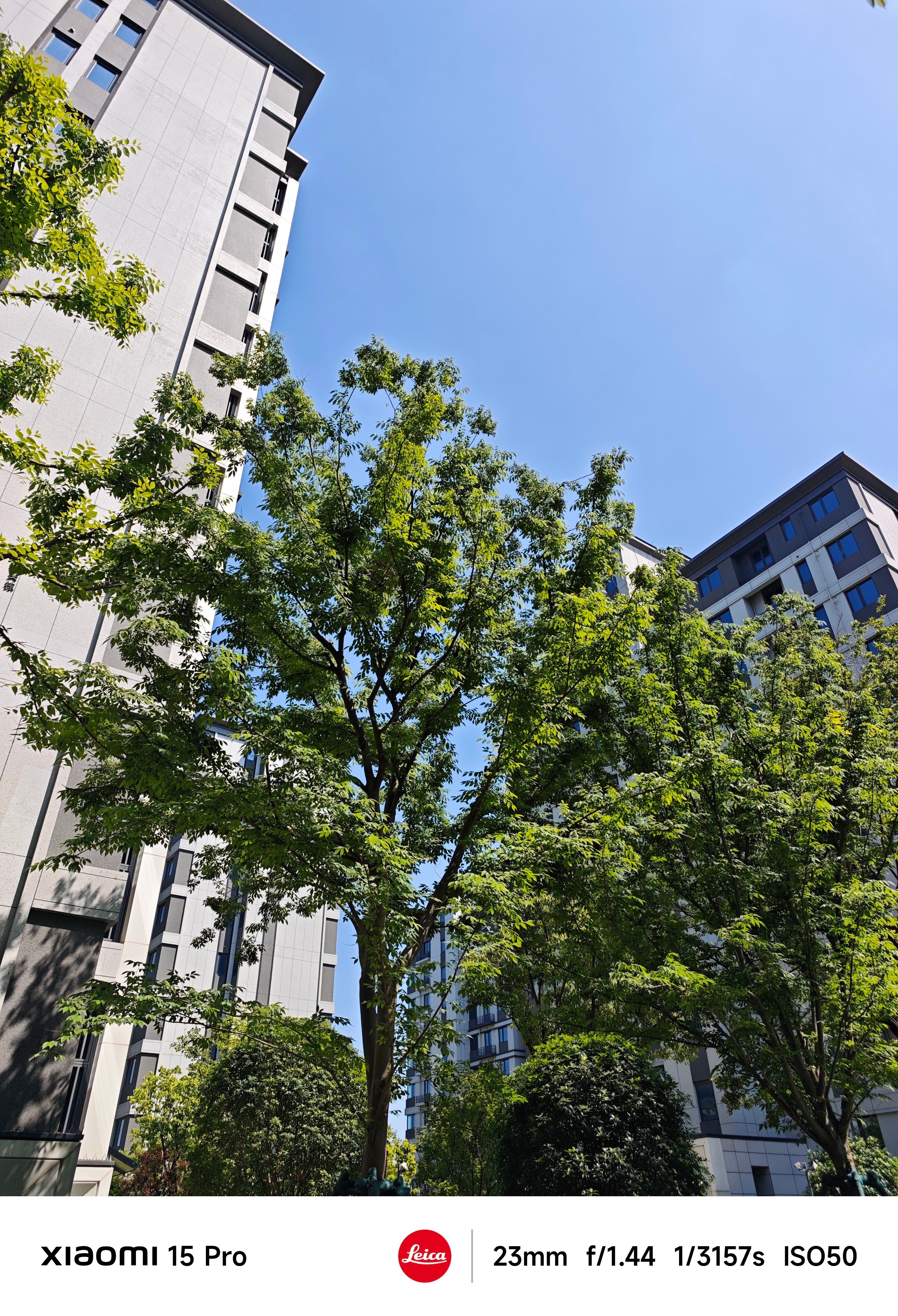 Ai 发展越来越快，很多 Ai 生成的图片都已经达到了以假乱真的地步。技术是技术