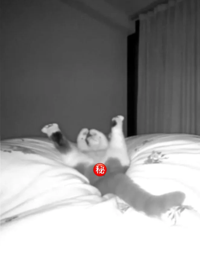 好险 差点以为嗝屁了…