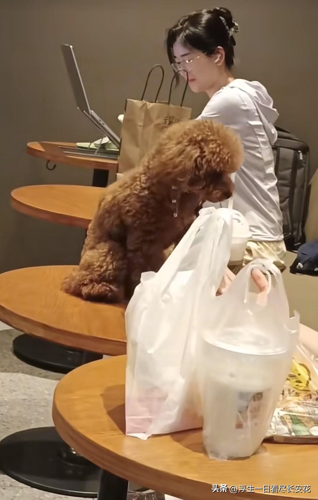 狗上桌，大家知道这是四川内江万达广场的哪家店吗？如果知道，就赶紧避雷吧。很多狗主