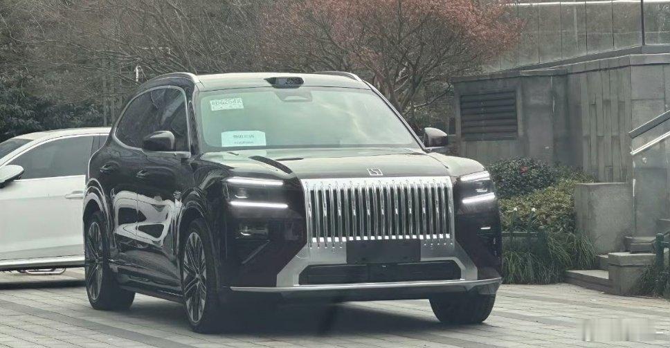 极氪8x 这么快就有路试无伪装照片了这个实车外观，兄弟们能给打几分？ 