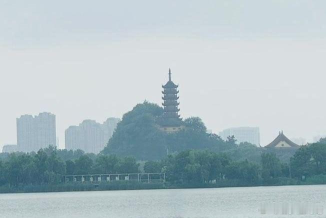 早安       今天有点抓狂了，反复启动就是打不开的🖥……      