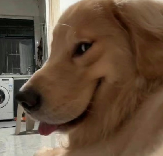 被我发现 ​​​