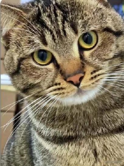 现在的人，到底失去了什么？
 
越往前走，越发现我们好像拥有了更多的物质、更便捷