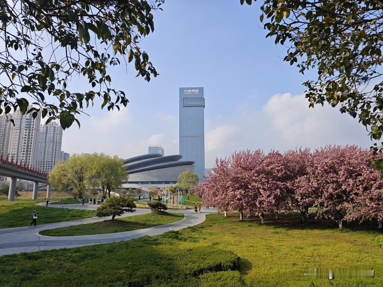 春和景明 春和景明，宝鸡渭河生态园樱花盛开，景美如画渭河生态景观带