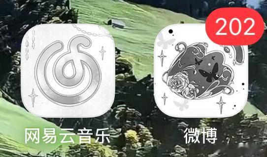 这两个、、 ​​​