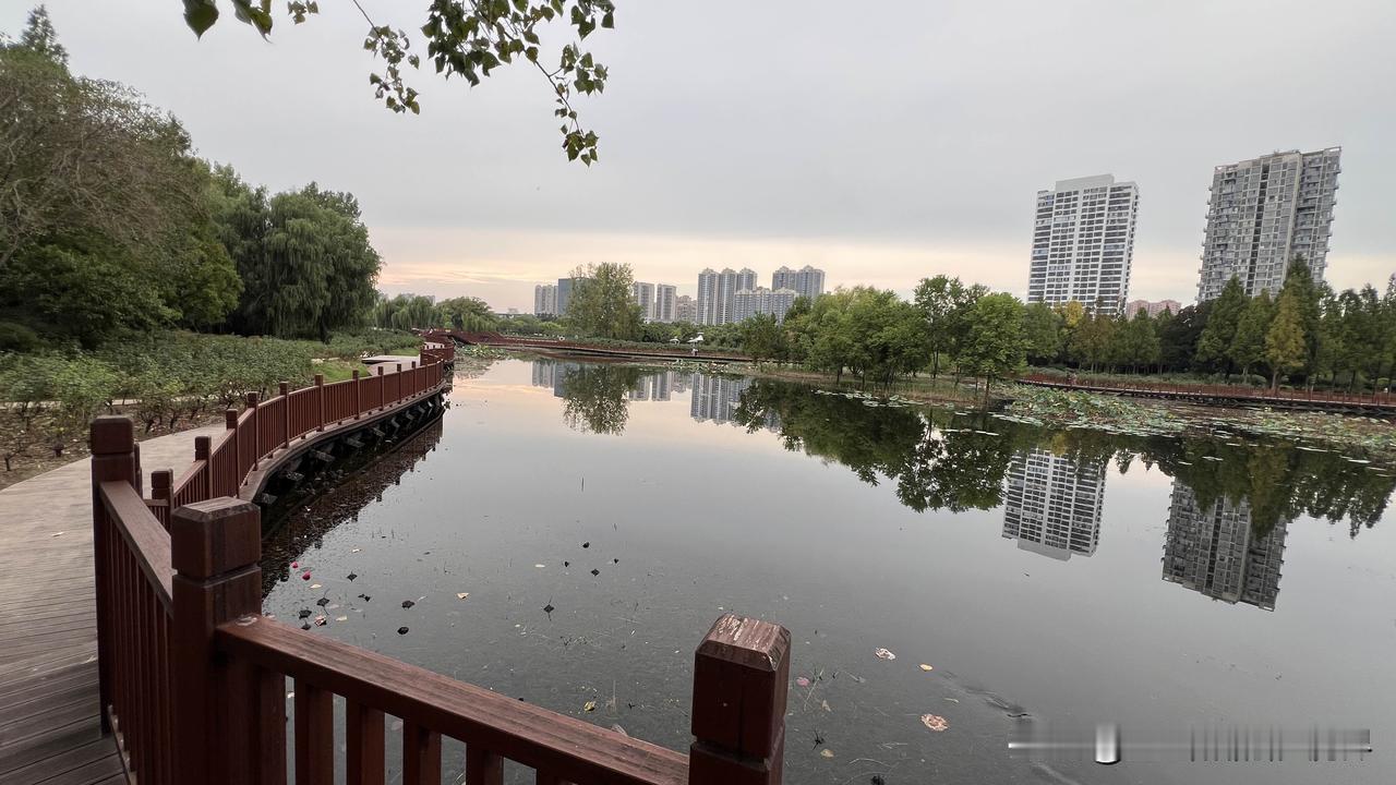 这个时代最大的红利，不是发财，是自由。

一位经济学家的话让我沉默很久：现阶段最