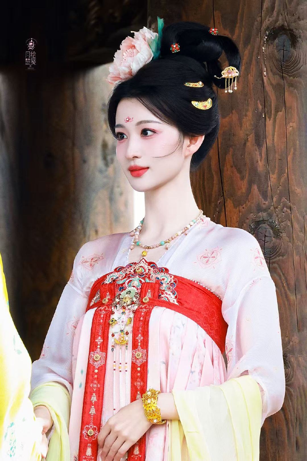 王楚然唯有牡丹真国色王楚然云想衣裳花想容 王楚然唯有牡丹真国色 