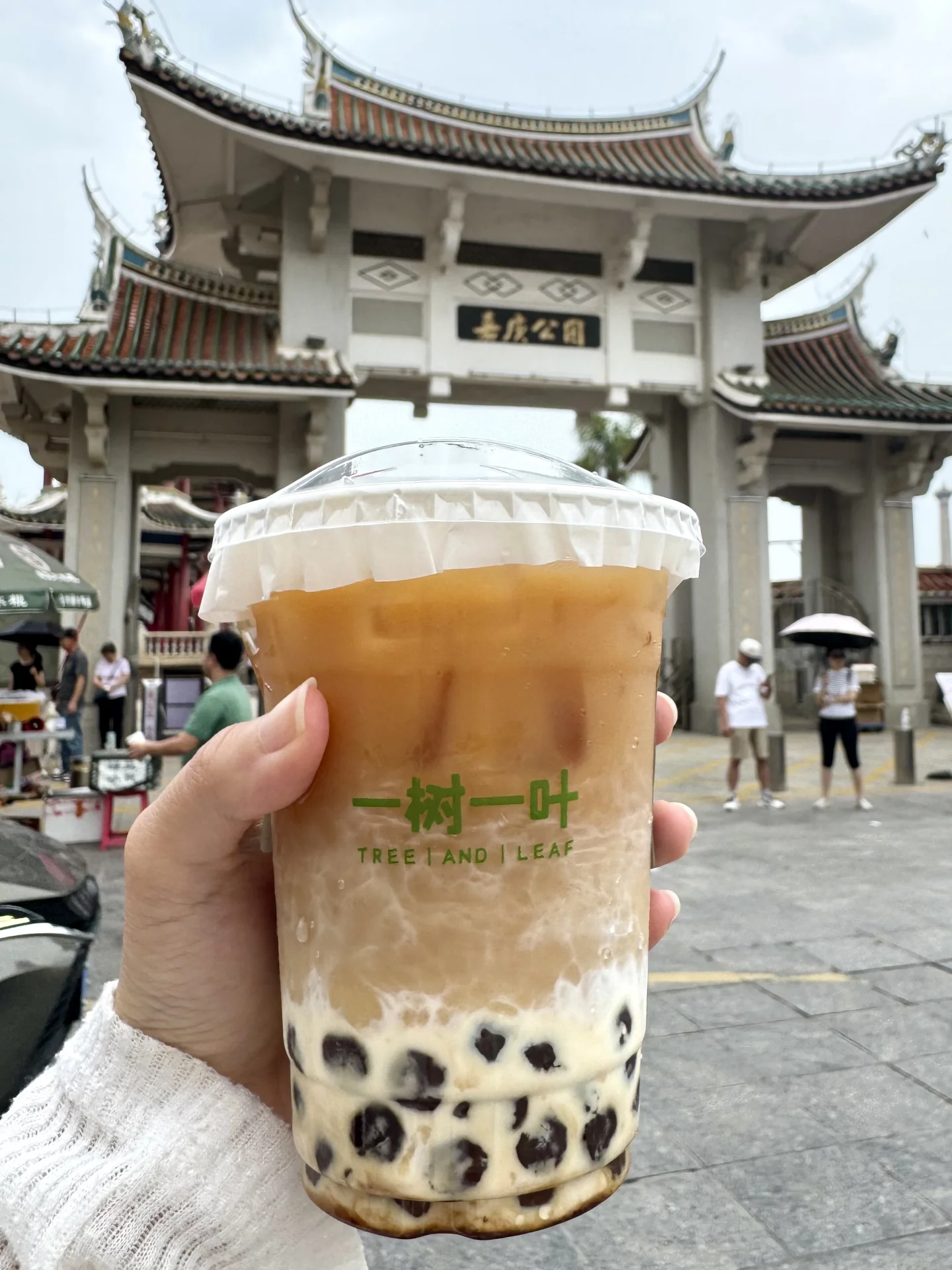厦门嘉庚公园也有了！厦门嘉庚公园也有了！！