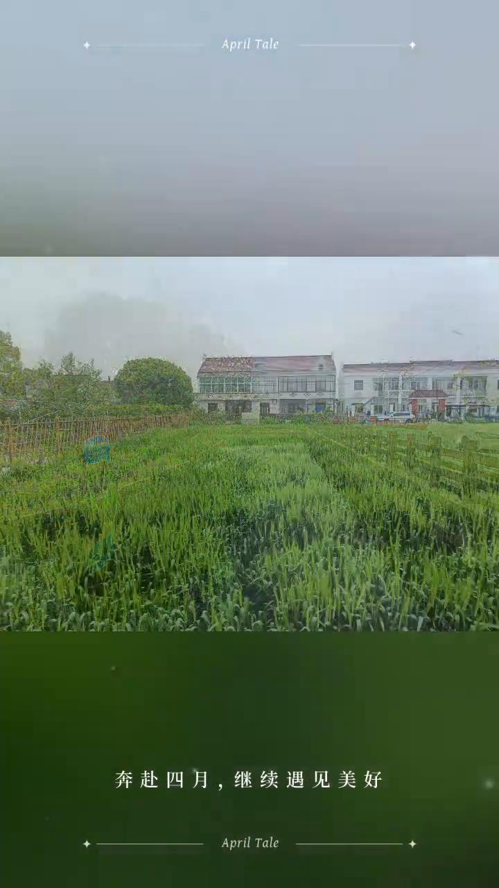 奔赴四月，继续遇见美好。