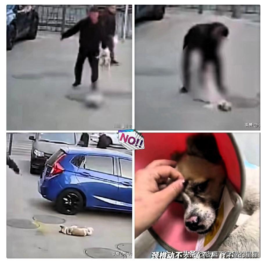 12月30日，青海西宁一男子发现自家狗在外边与一只流浪狗交配，狗主人怒不可遏，他