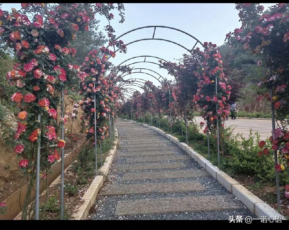 一到天暖就蠢蠢卻动，想出去溜达溜达。
可想了半天，也不知去哪里好。
去远处吧，太