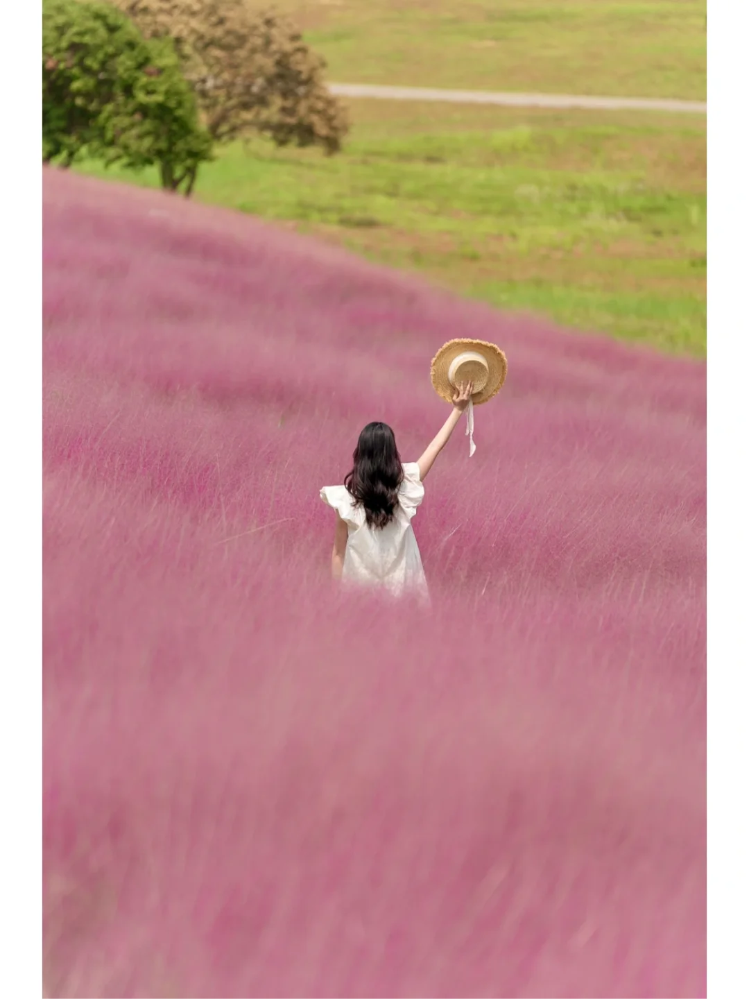 深圳梦幻粉色山坡，仿佛走进漫画世界里🎨