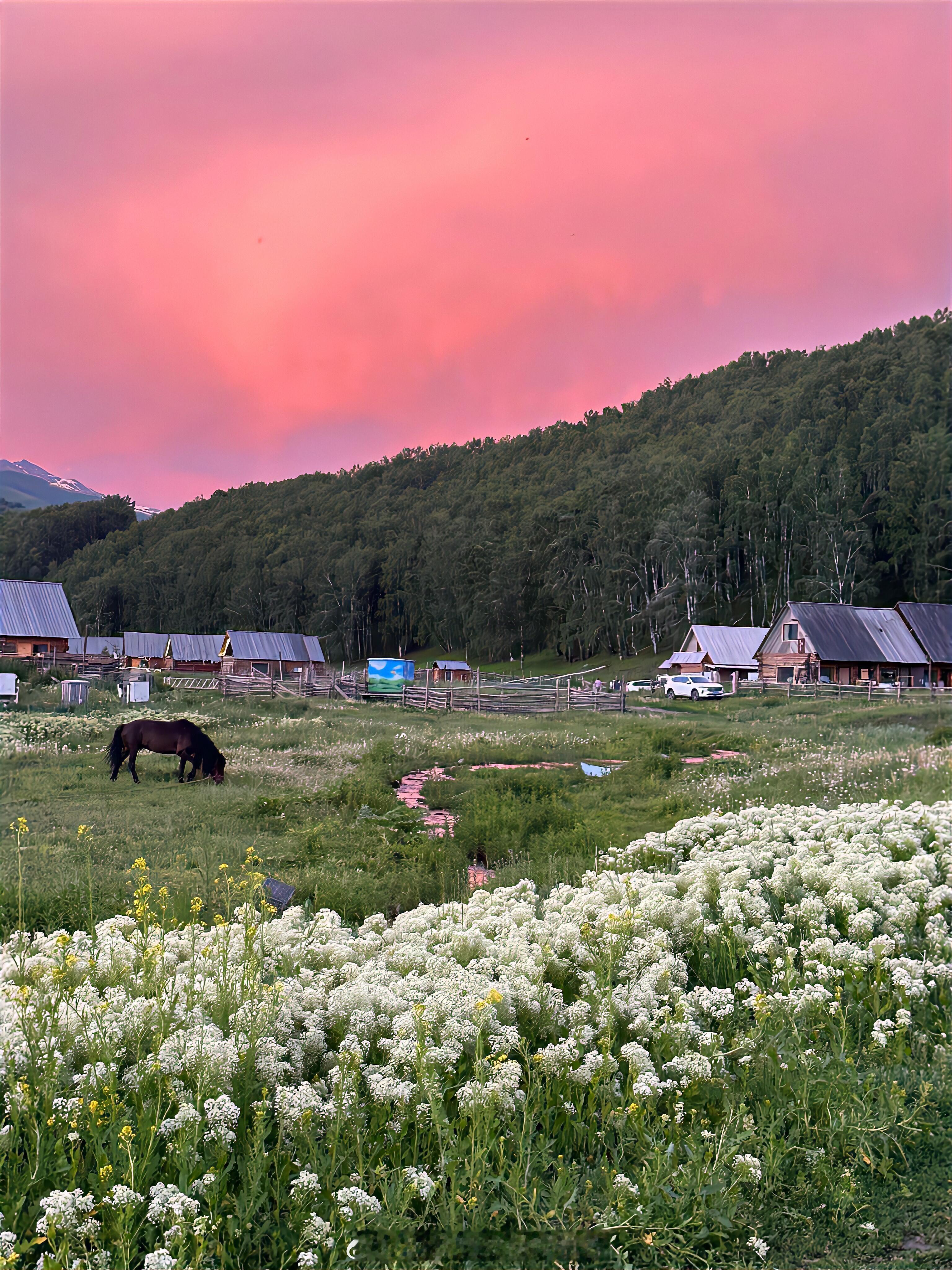 我的评分： 阿勒泰绝美风景 