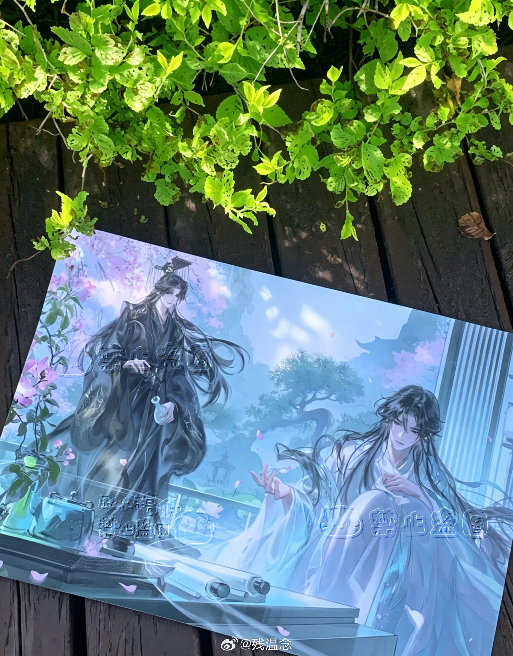 二哈和他的白猫师尊二哈和他的白猫师尊燃晚 ｜repo for收到了超级美丽的海报