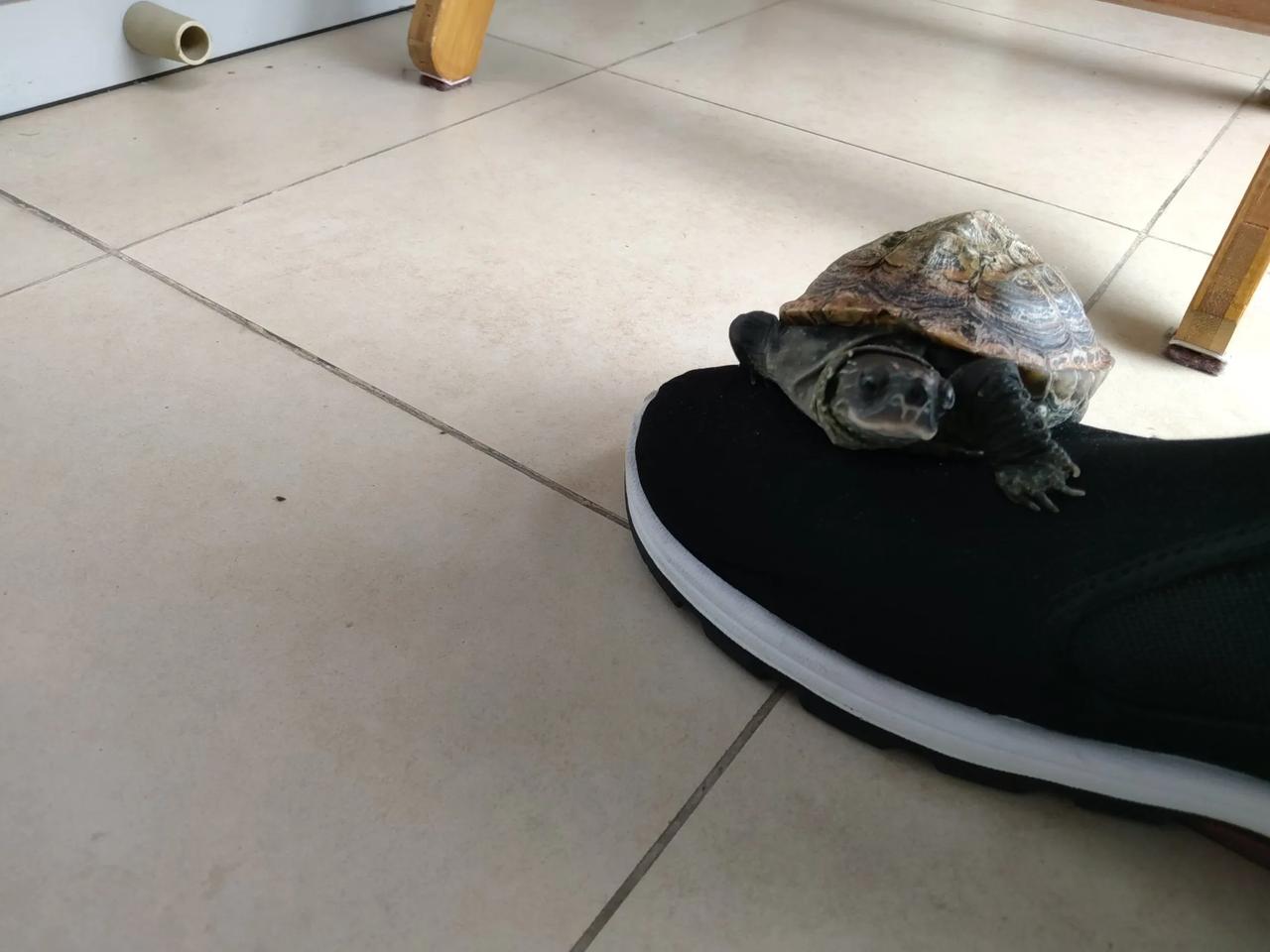 小嘟嘟，你想跟我聊点啥呢？