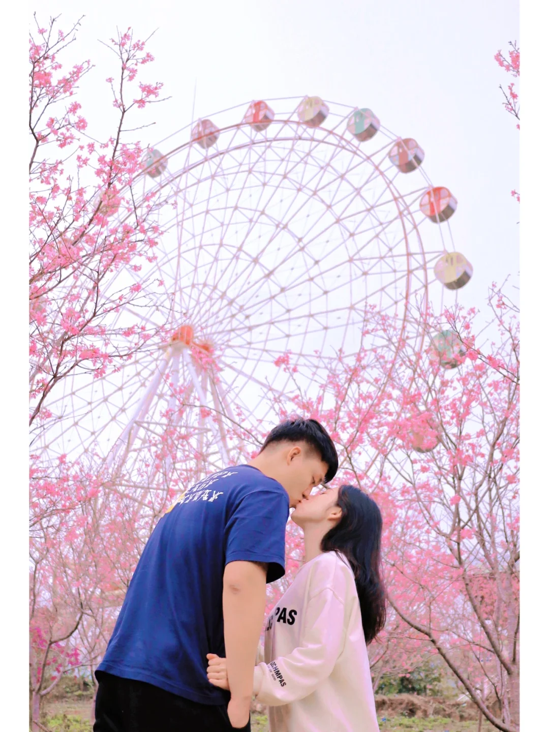 广州周边｜🎡摩天轮下漫山樱花🌸少女心爆棚