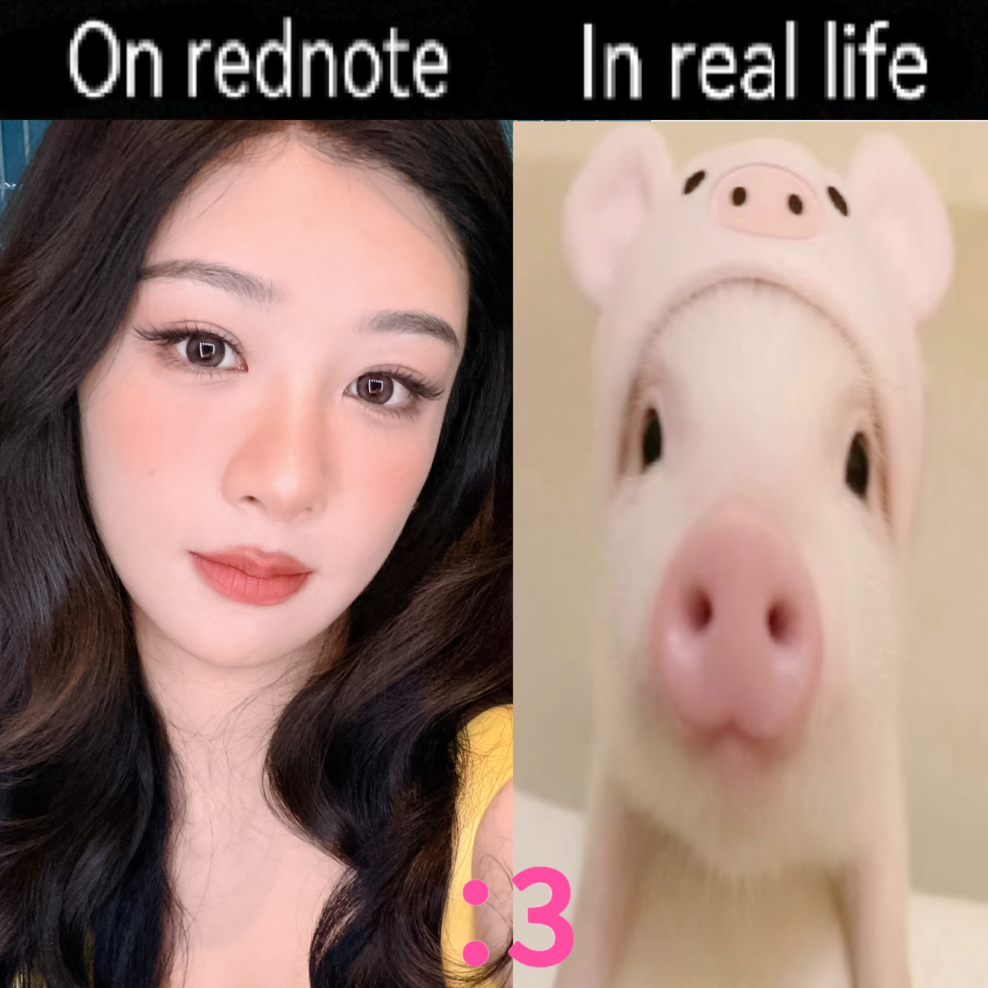 杨紫 对呀这个就是我呀。我是一只萌萌的小猪。🐽 ​​​