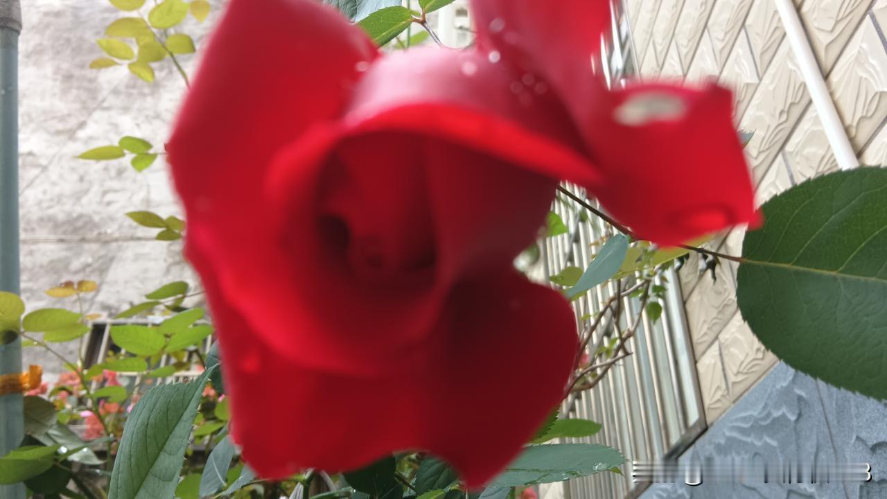 一位扎根基层的村医说:
现在我们村医的工作性质已经变了，很多病人不需要我给他们看