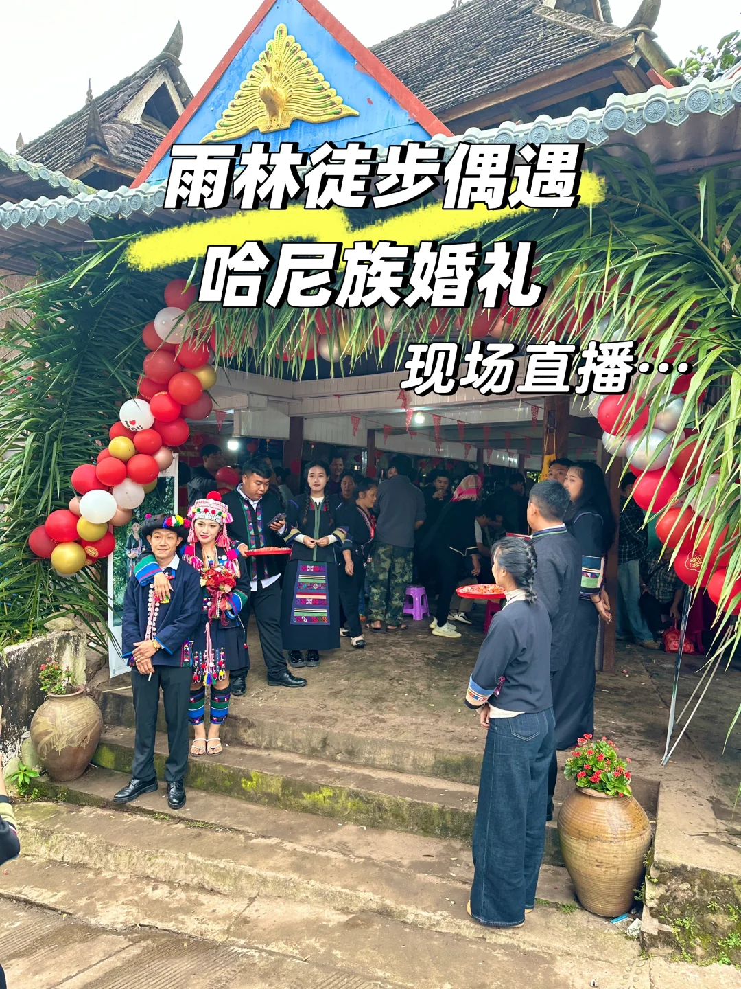 雨林徒步偶遇哈尼族婚礼！幸福的味道