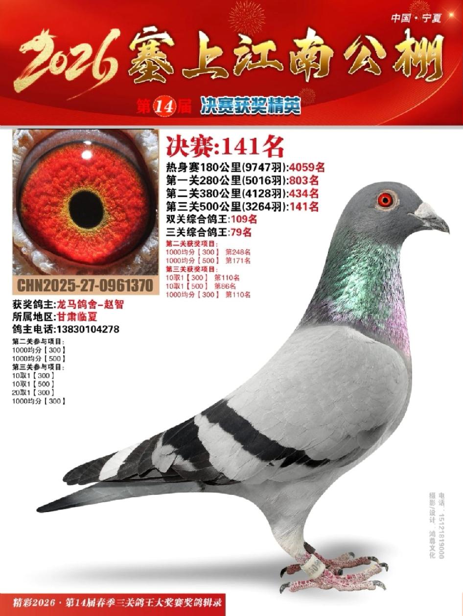 分享我这周有趣的事：赛鸽拍买，前天，宁夏塞上江南赛鸽春棚进行获奖鸽拍买，我的14