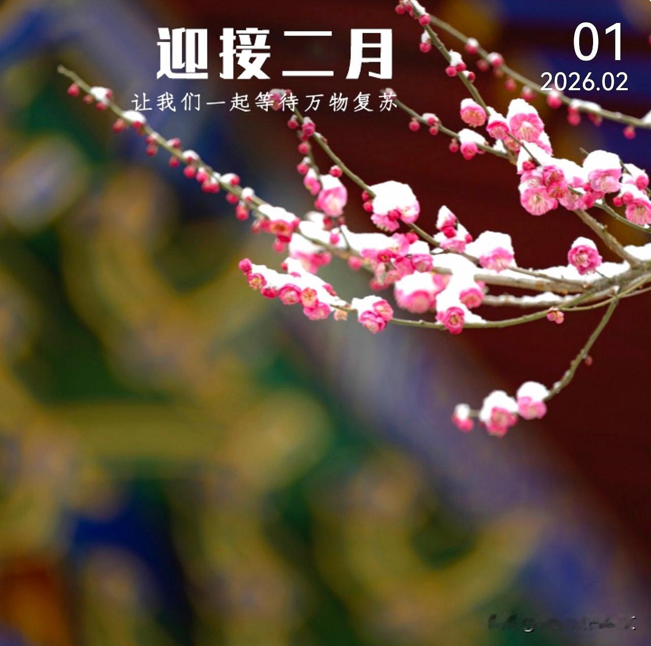 二月你好
把烦恼留在昨天，
把期待装满今天，
温暖的日子，慢慢向前。