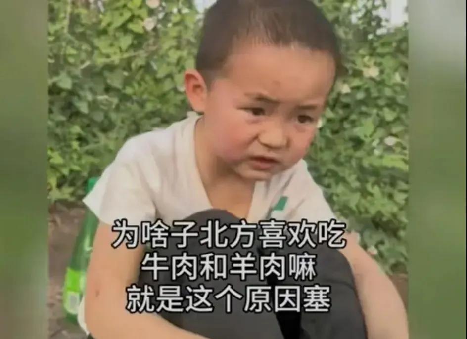 小满和幺弟，别人说视频是剪辑的，我不信，感觉他们就是天才儿童，大人不懂得，他们都